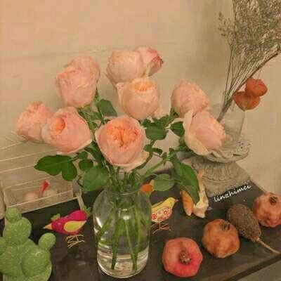 Kaiyun体育官方入口